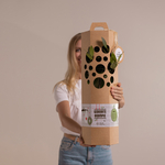 Geboorteboompje