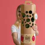 Cadeaupakket appel(boom)taart