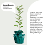 Cadeaupakket Wensboom