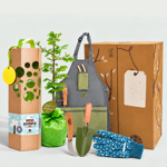 Cadeaupakket Wensboom