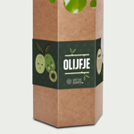 Olijfboompje