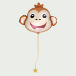 Grote ballon Aap