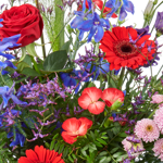 Boeket Larissa