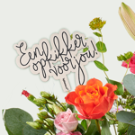 Get well bouquet Estella