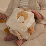 Activity cube Little Dutch