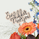 Bouquet de rétablissement Fien