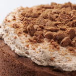 Speculaastaart