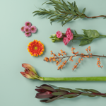 Verjaardagsboeket Noah