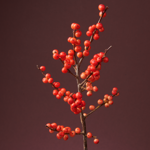 Beterschapsboeket Juniper