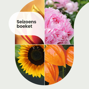 Boeket seizoen