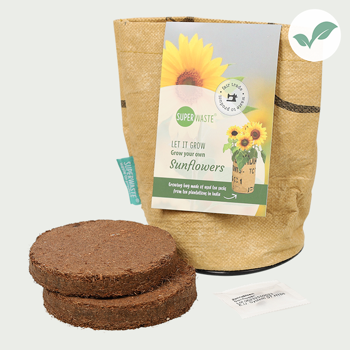 Grow your own - Sunflowers