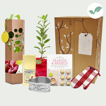 Gift set apple (tree) cake