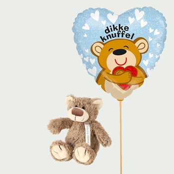 Thema ballon met knuffel