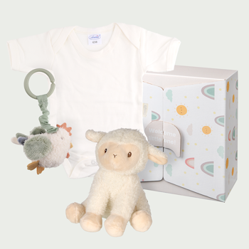 Geboorte cadeau Little farm