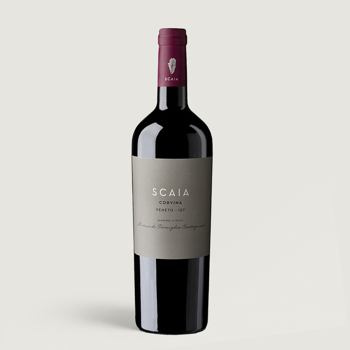 Scaia Corvina