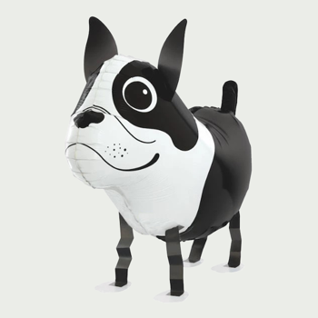 Meeloop ballon hond