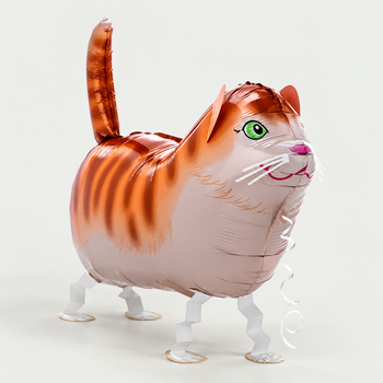 Meeloop ballon kat