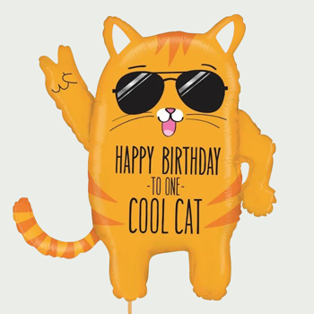 Grote Happy birthday cat