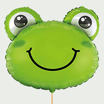 Grote Opkikker ballon