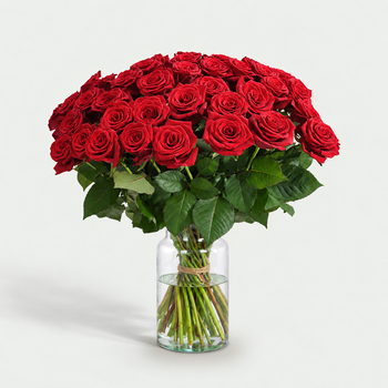 Lange rode rozen