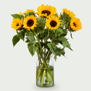 Bouquet Zora