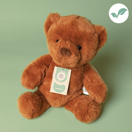 Superzachte duurzame teddybeer 38 cm