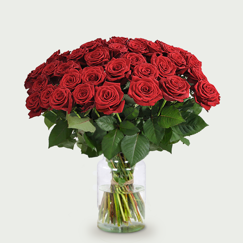 Long red roses