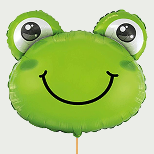 Grote Opkikker ballon