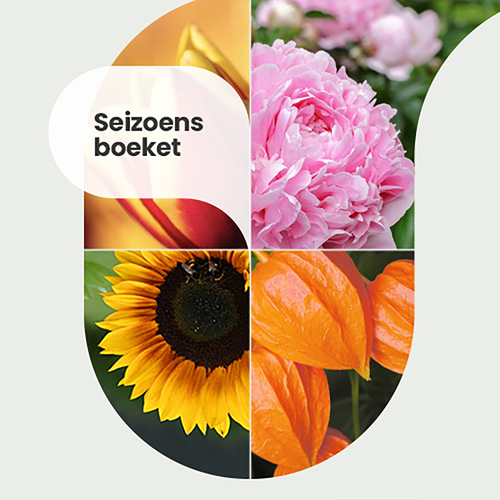 Seizoensboeket