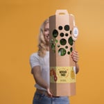 Felicitatieboompje