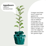 Cadeaupakket appel(boom)taart