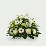 Stilte wit - 50 cm