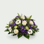 Stilte paars - 50 cm
