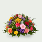 Stilte bont - 50 cm