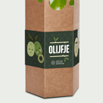 Olijfboompje