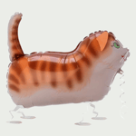Meeloop ballon kat