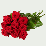 Lange rode rozen