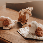 Giftbox Fairy Garden
