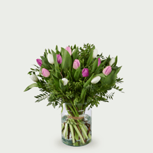 Tulpen