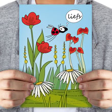 Liefs - mega