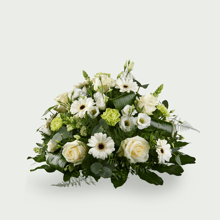Stilte wit - 50 cm