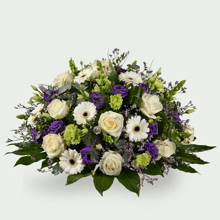 Stilte paars - 70 cm