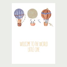 Welcome to the world