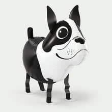 Meeloop ballon hond
