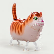 Meeloop ballon kat