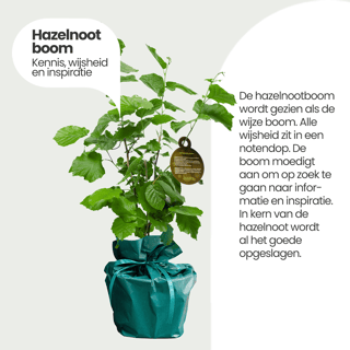Felicitatieboompje