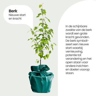 Wensboompje