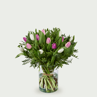 Tulipes