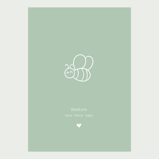 Welkom lieve kleine baby