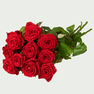 Uitvaart Losse rozen rood